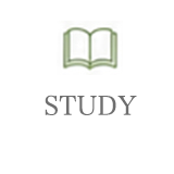 STUDY